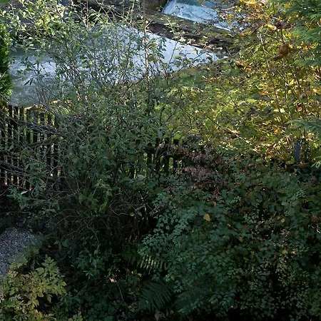 Salzburg Cottage Daire *